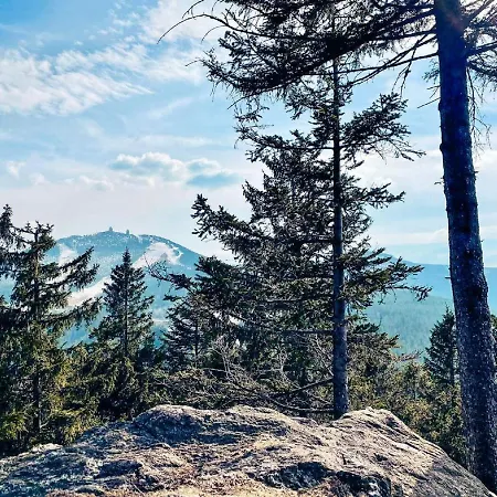 Apartment Arberflimmern Bodenmais