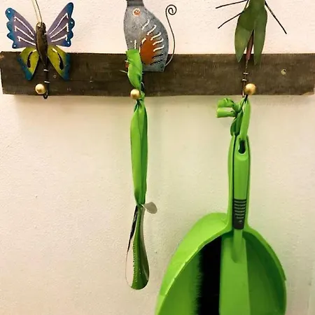 Arberflimmern Apartment Bodenmais