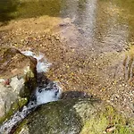 Arberflimmern