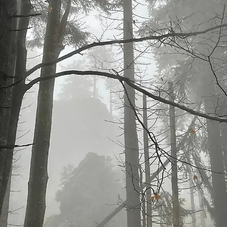 Апартаменты Arberflimmern