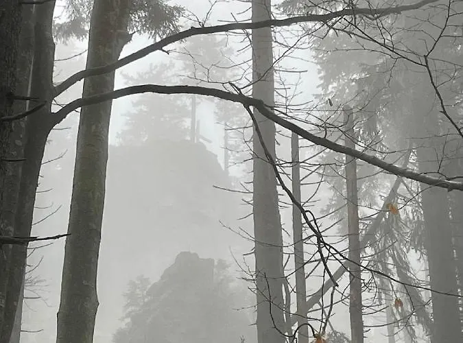 شقة Arberflimmern